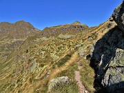 17 Sul fianco occ. del Monte delle galline con vista in Cima di Mezzeno